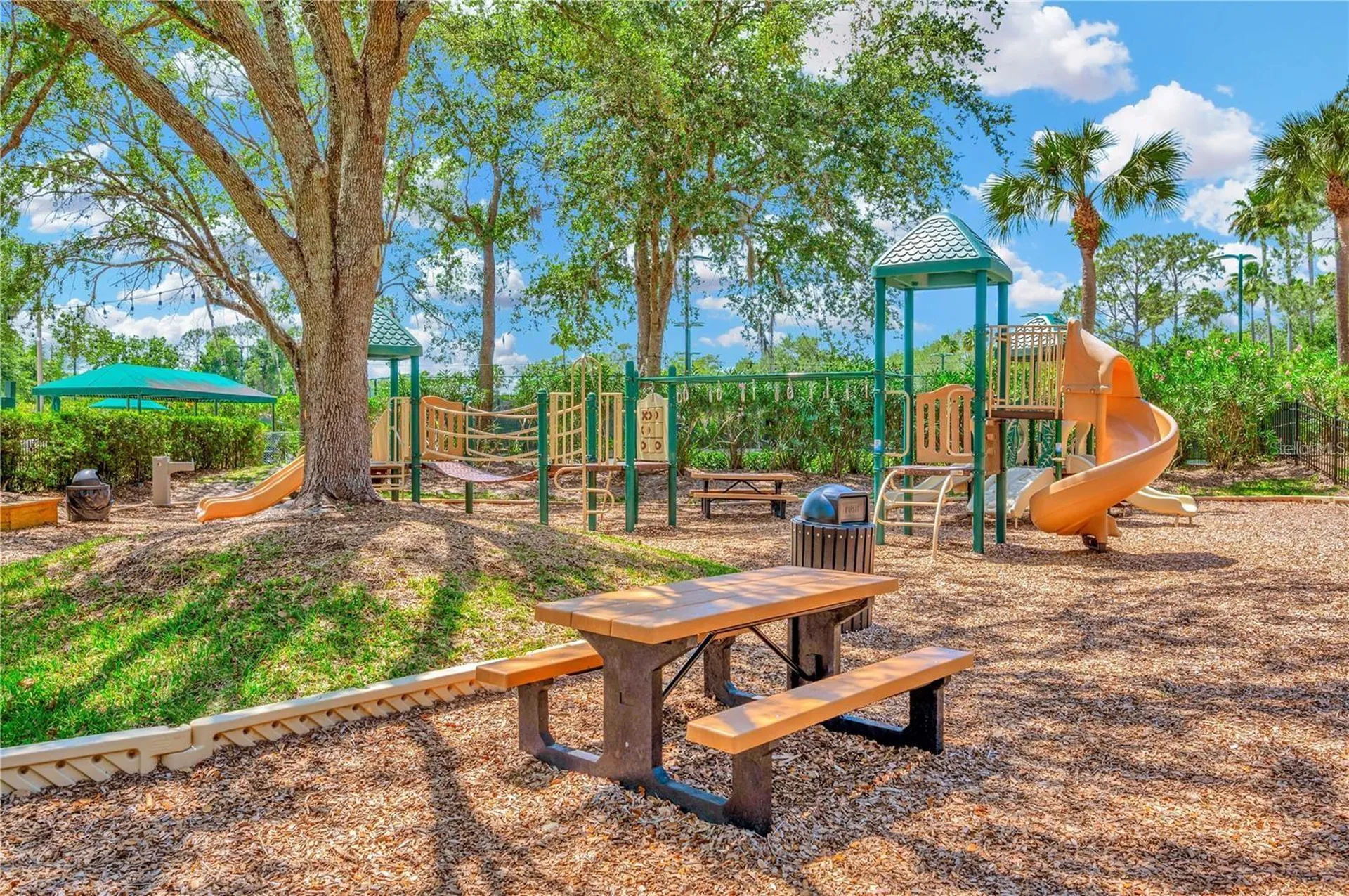 17888 Arbor Greene Drive Tampa FL 33647