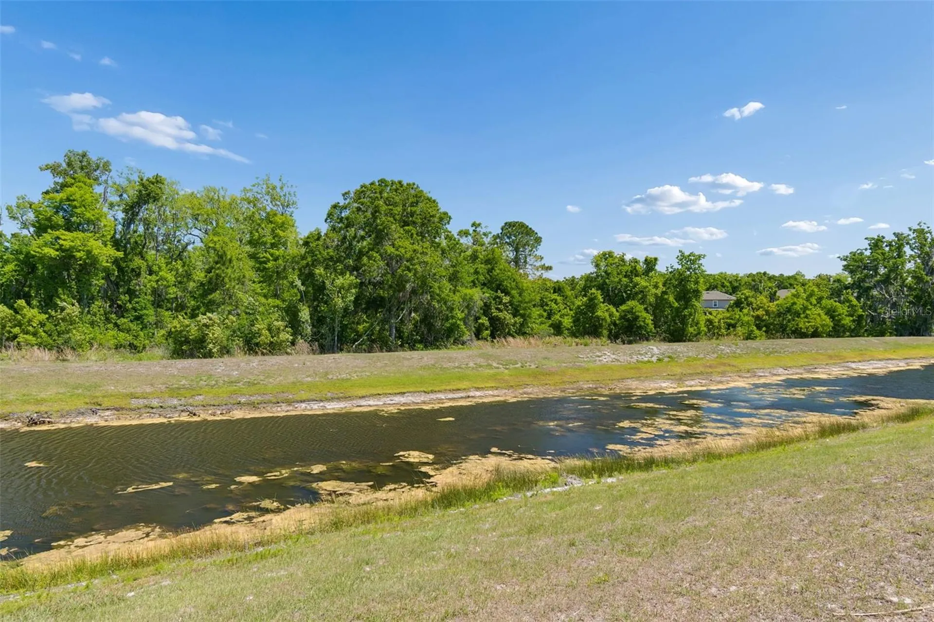 17647 Cortes Creek Boulevard Spring Hill FL 34610