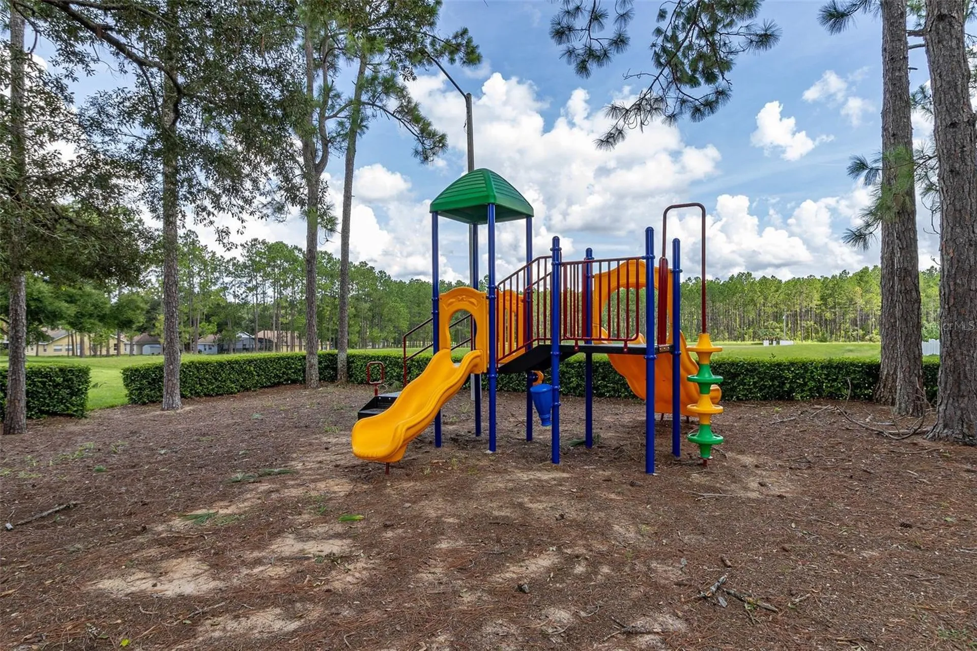 207 Elberton Drive Davenport FL 33897