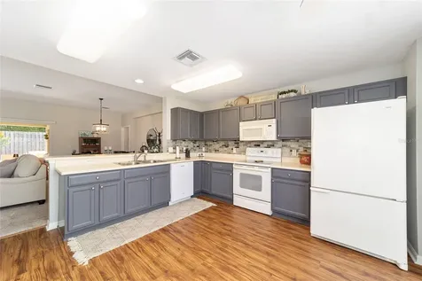 13226 SE 86th Circle Summerfield FL 34491