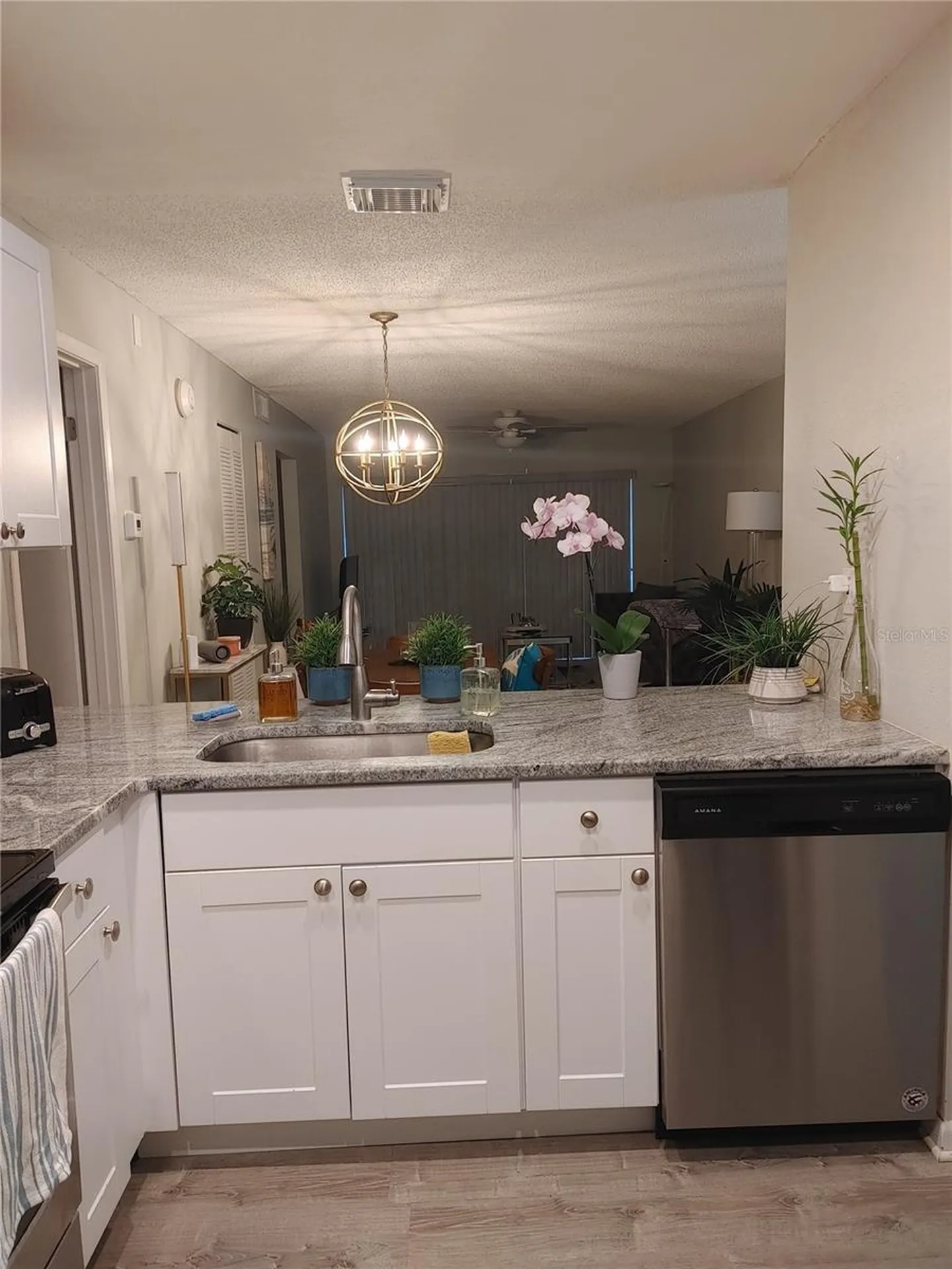 6218 Palma Del Mar Boulevard S St Petersburg FL 33715