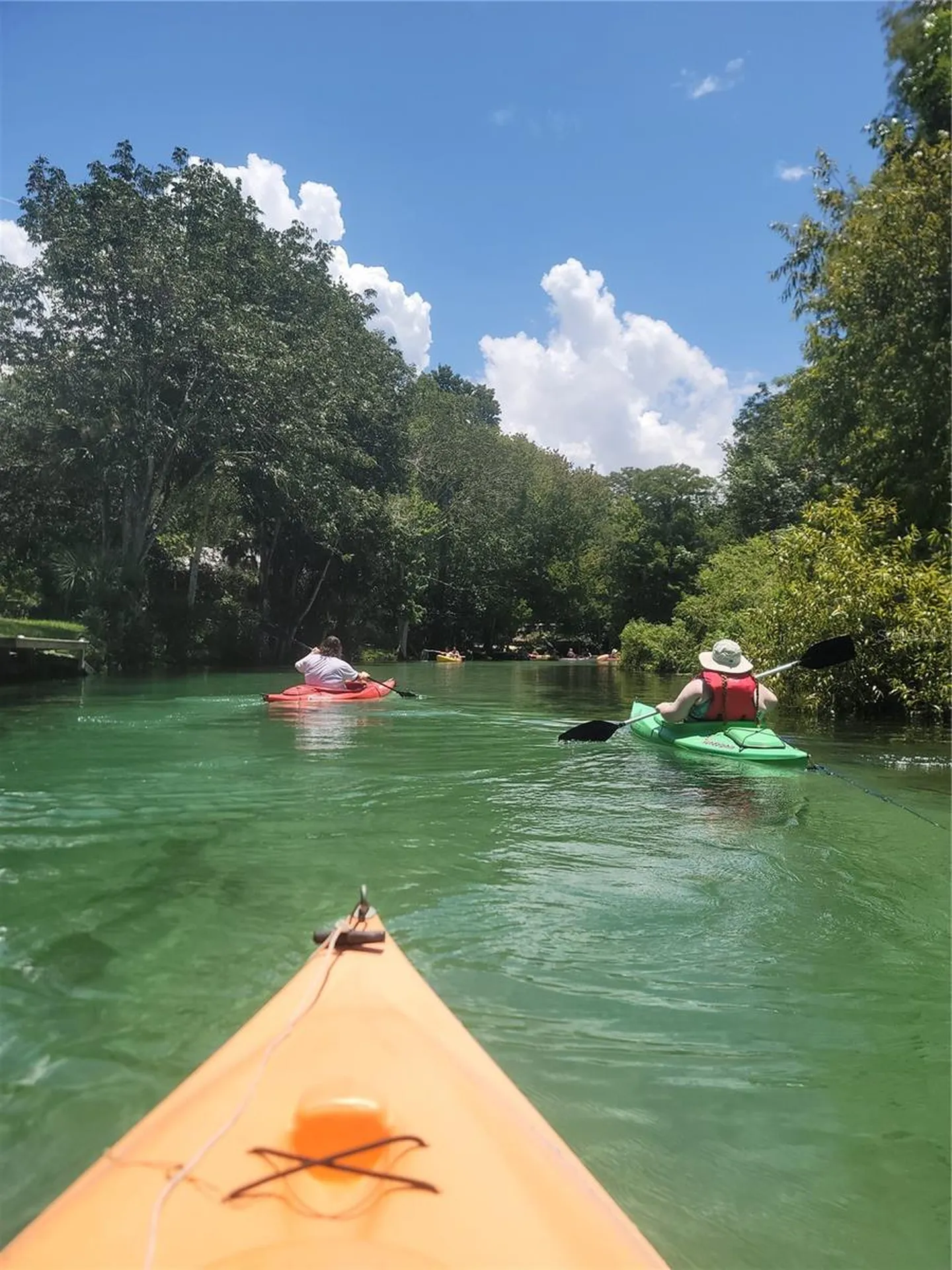 773 NE 9th Street Crystal River FL 34428