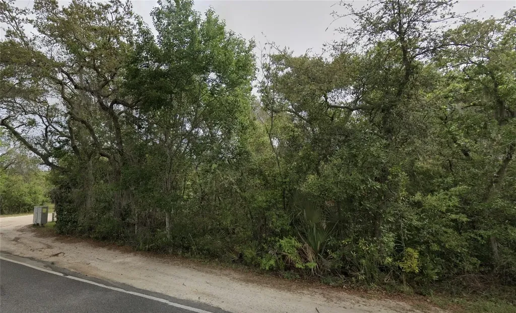 NE 154th Place Fort Mc Coy FL 32134