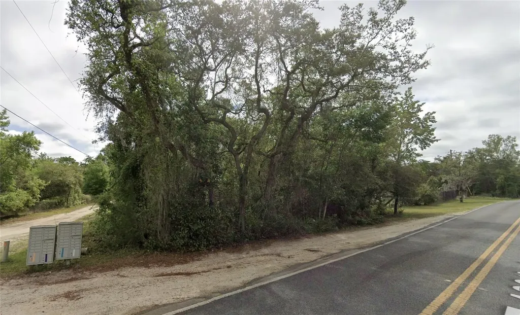 NE 154th Place Fort Mc Coy FL 32134