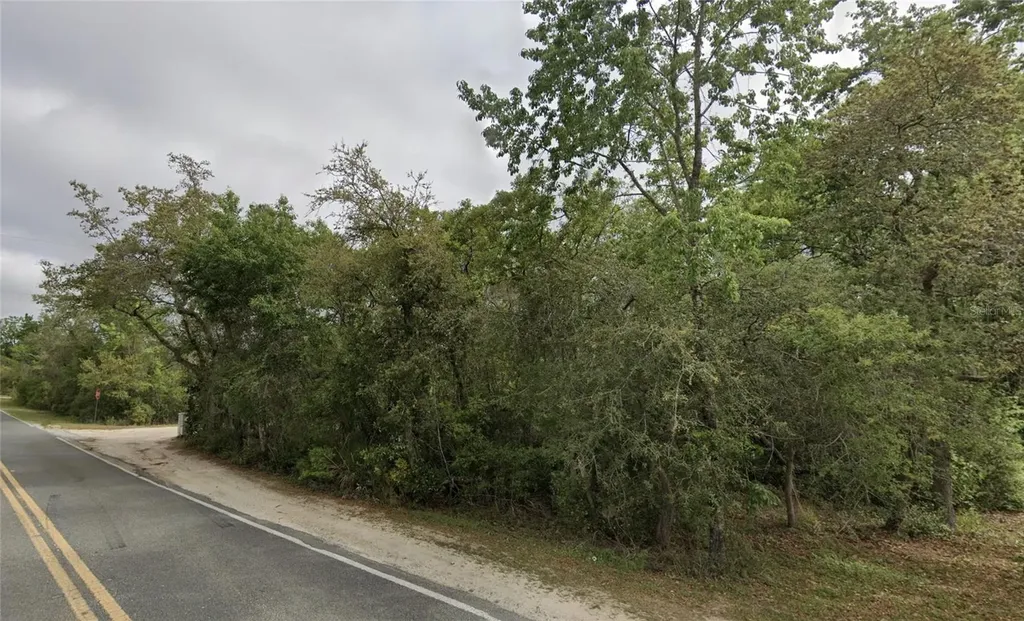 NE 154th Place Fort Mc Coy FL 32134