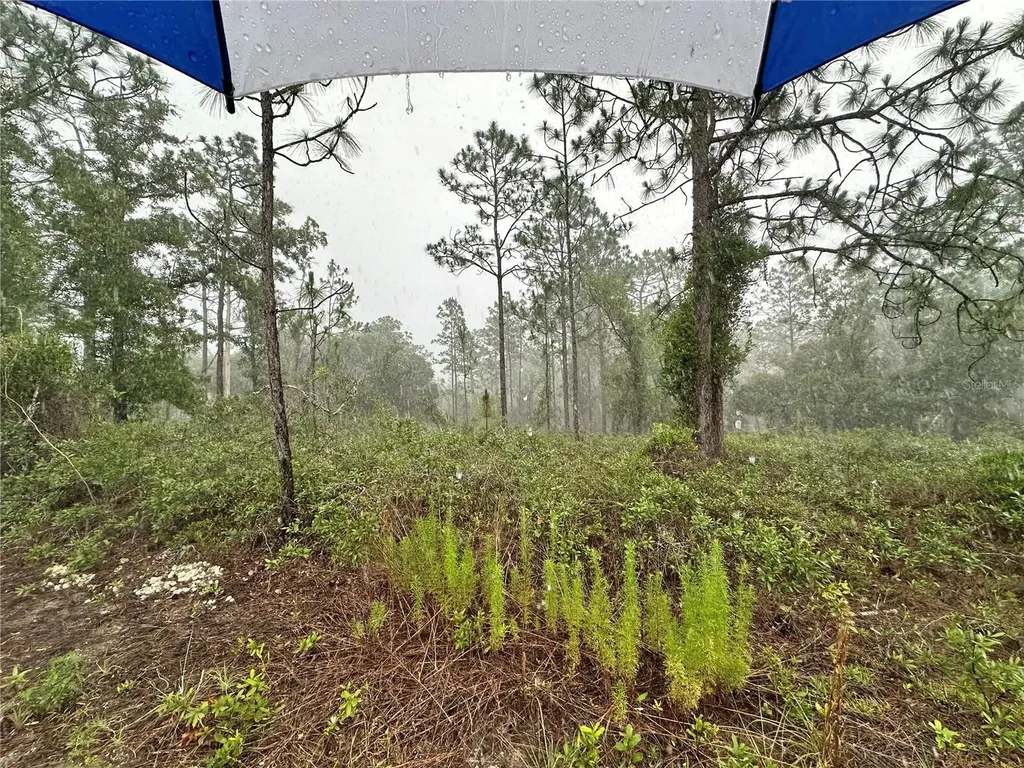 Tbd SE 130th Court Dunnellon FL 34431