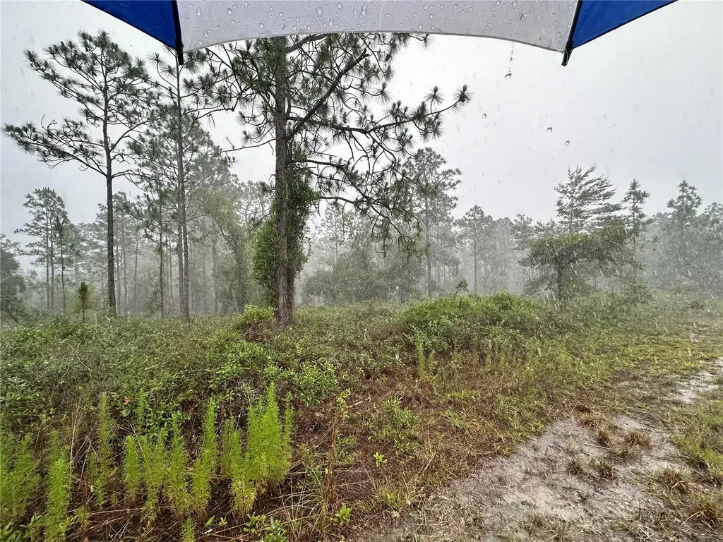 Tbd SE 130th Court Dunnellon FL 34431