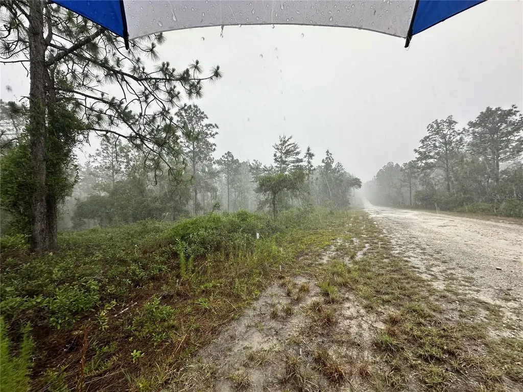 Tbd SE 130th Court Dunnellon FL 34431