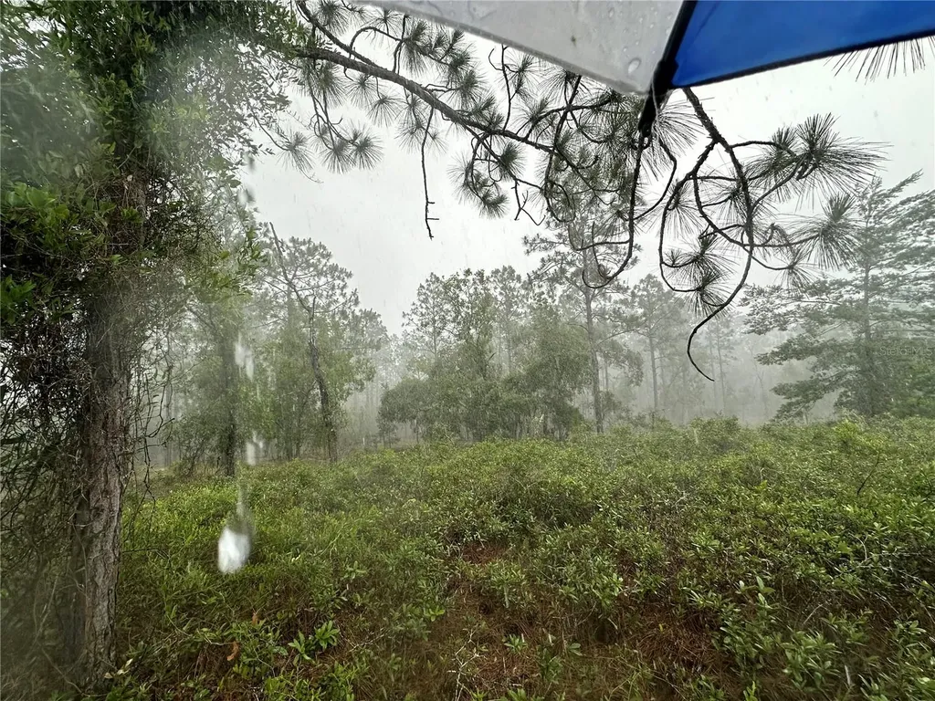 Tbd SE 130th Court Dunnellon FL 34431