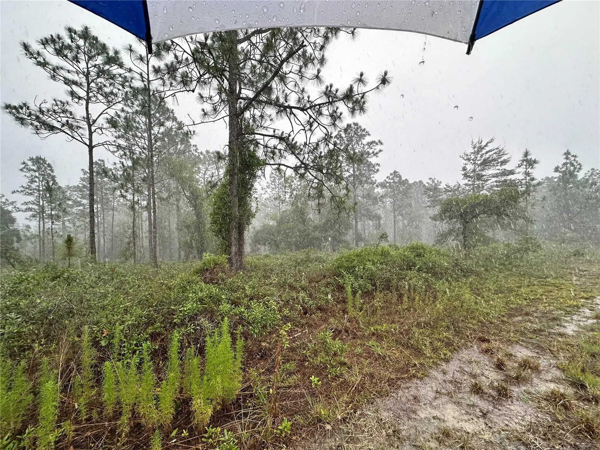 Tbd SE 130th Court Dunnellon FL 34431