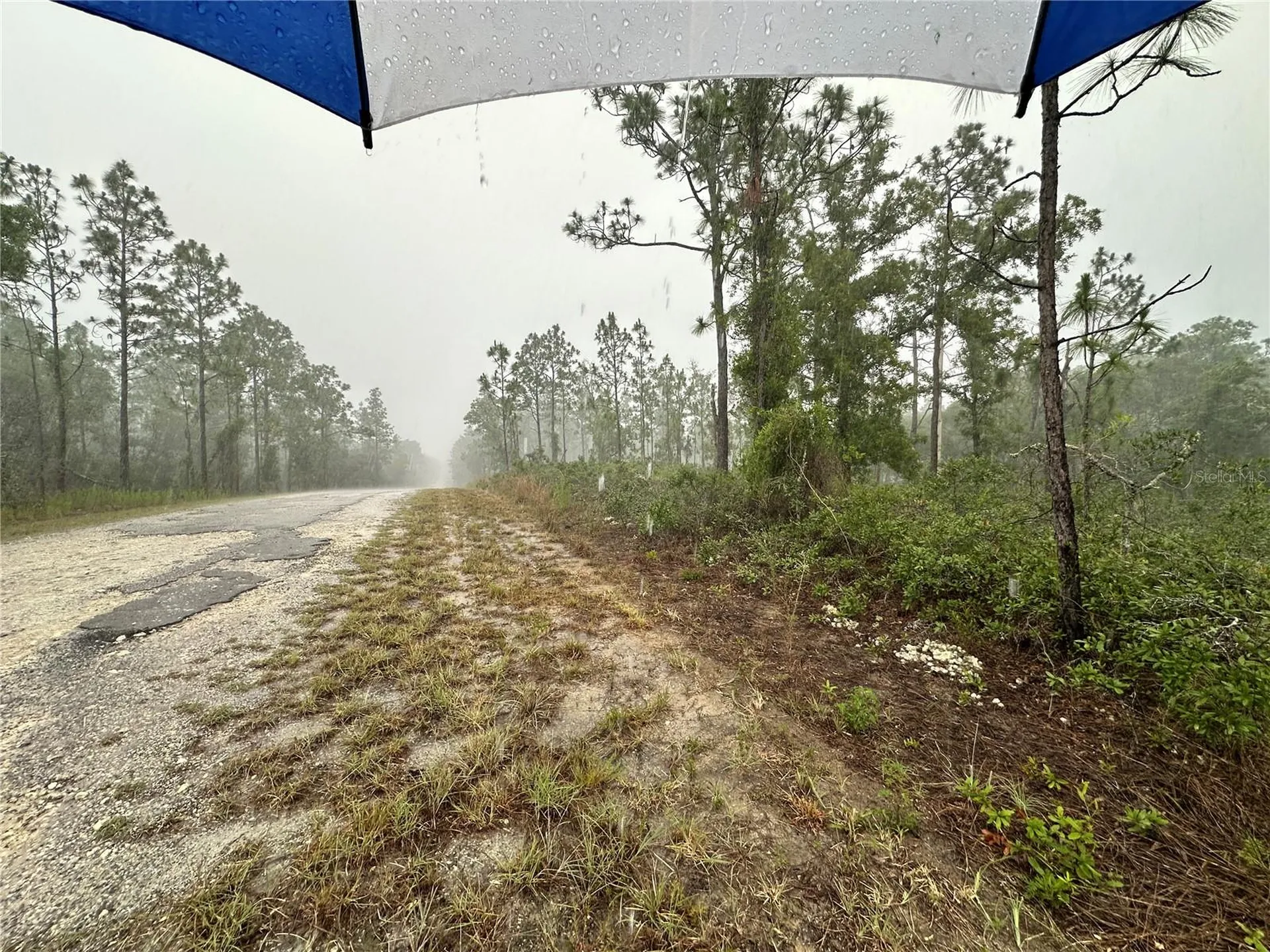 Tbd SE 130th Court Dunnellon FL 34431