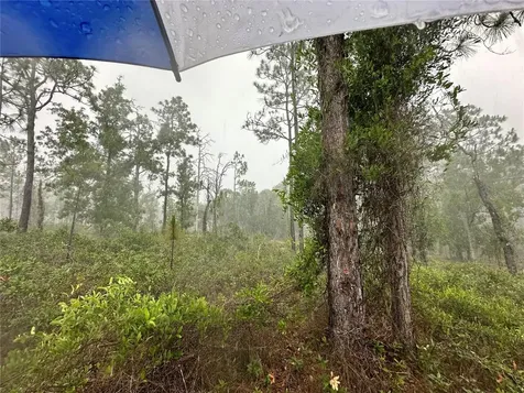 Tbd SE 130th Court Dunnellon FL 34431