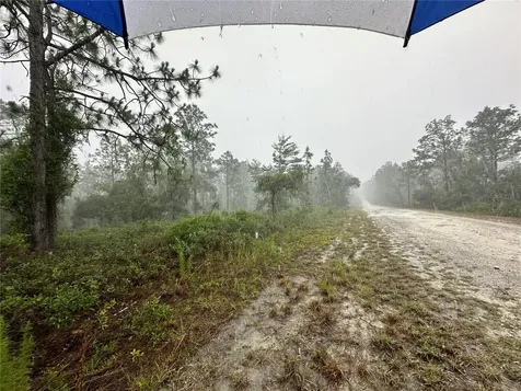 Tbd SE 130th Court Dunnellon FL 34431