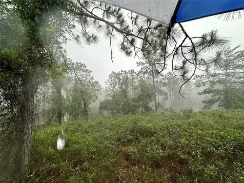 Tbd SE 130th Court Dunnellon FL 34431