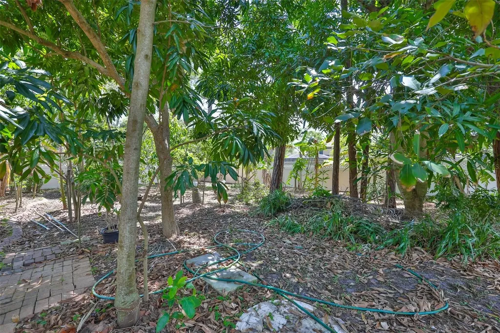 2679 Lakebreeze Lane S Clearwater FL 33759