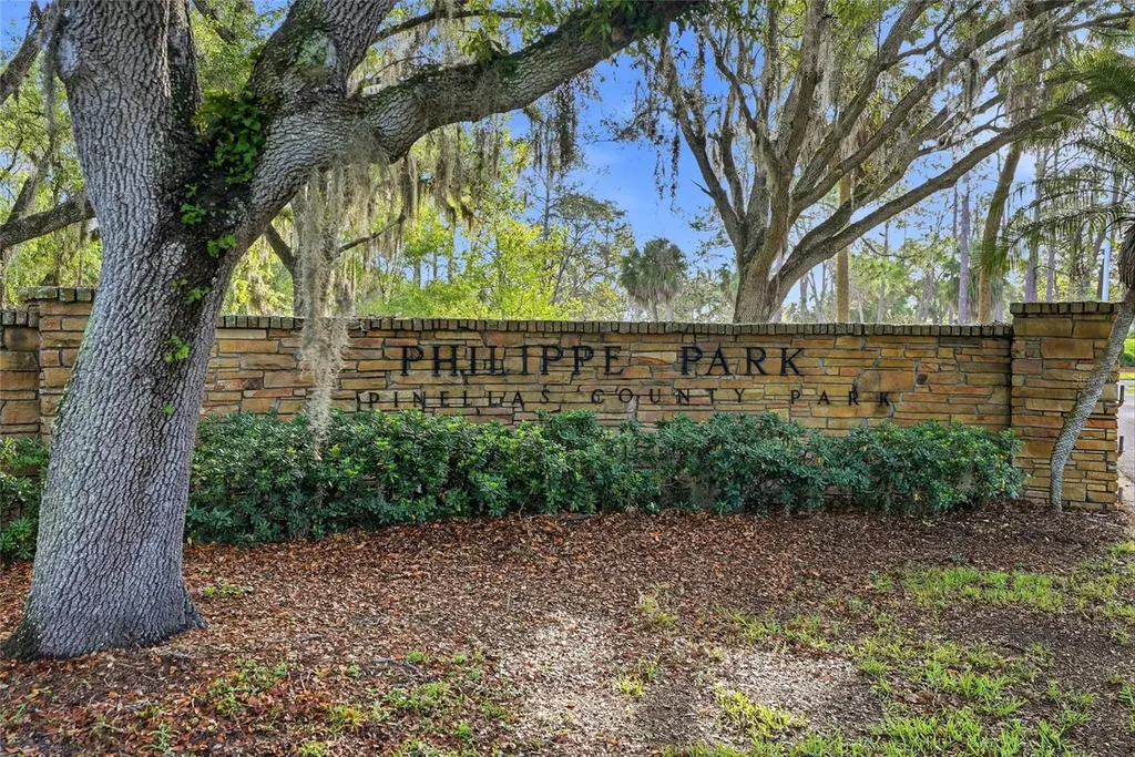 2376 Rajel Avenue Safety Harbor FL 34695