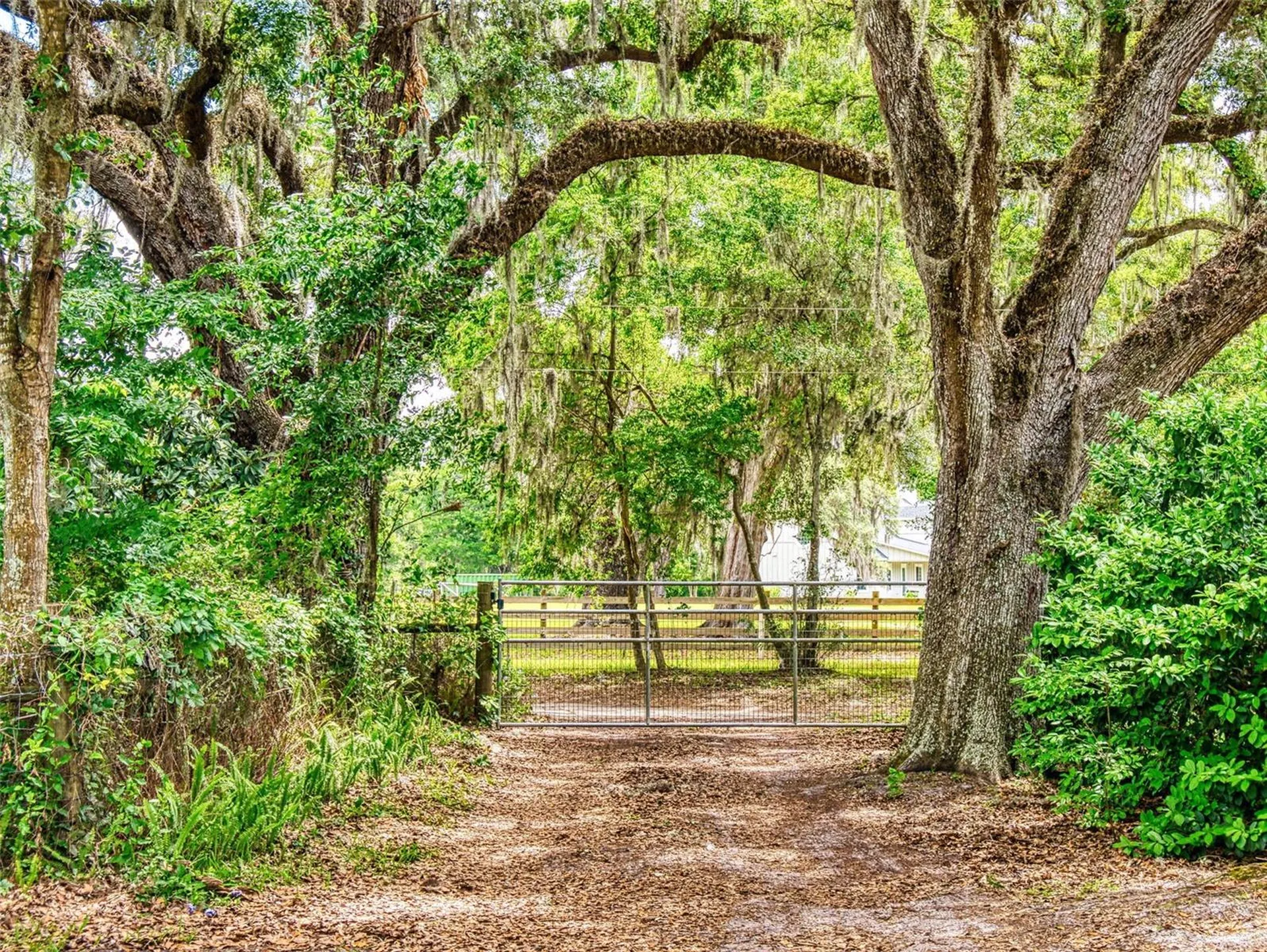2713 Cr 776 Webster FL 33597