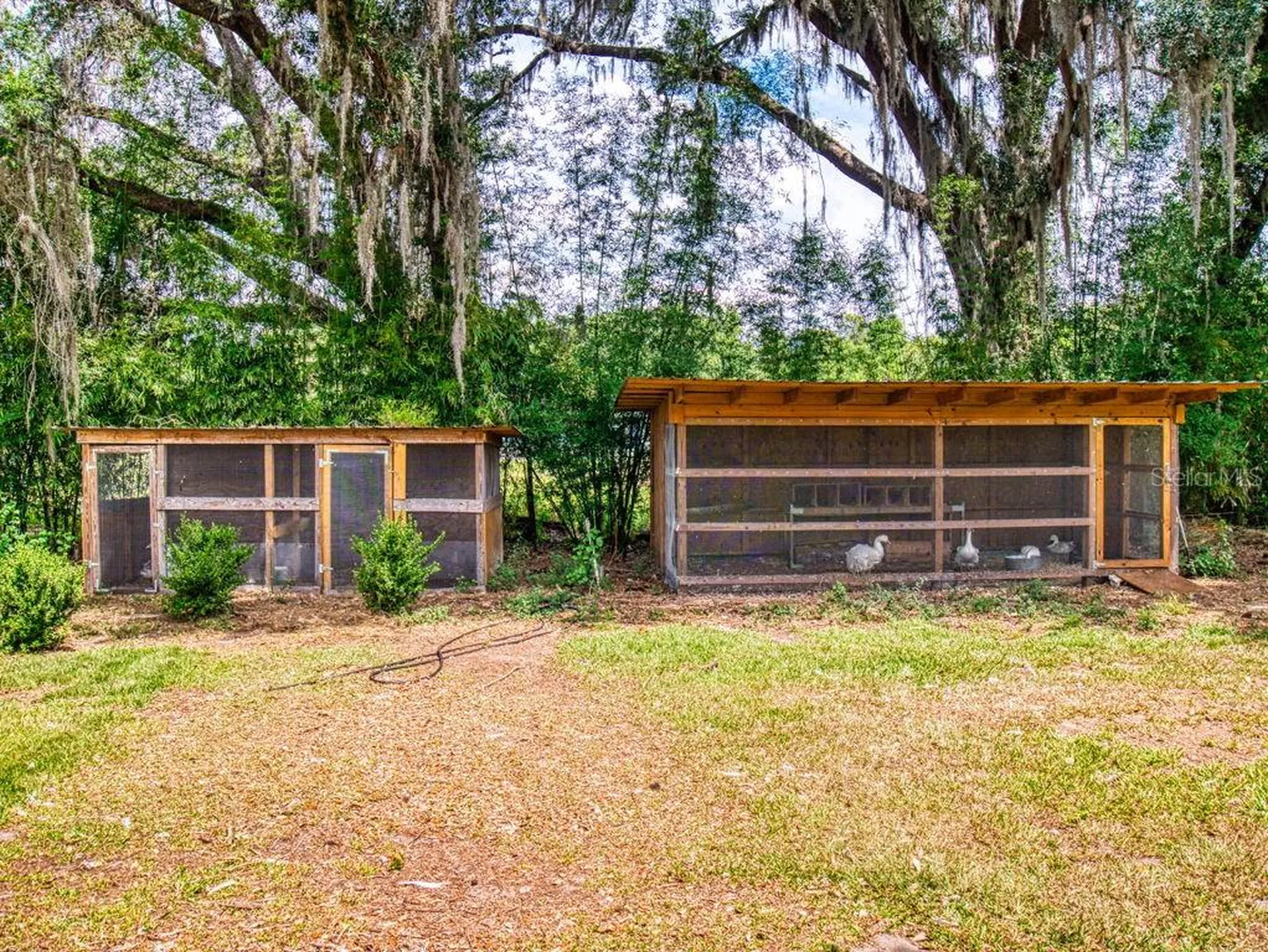 2713 Cr 776 Webster FL 33597