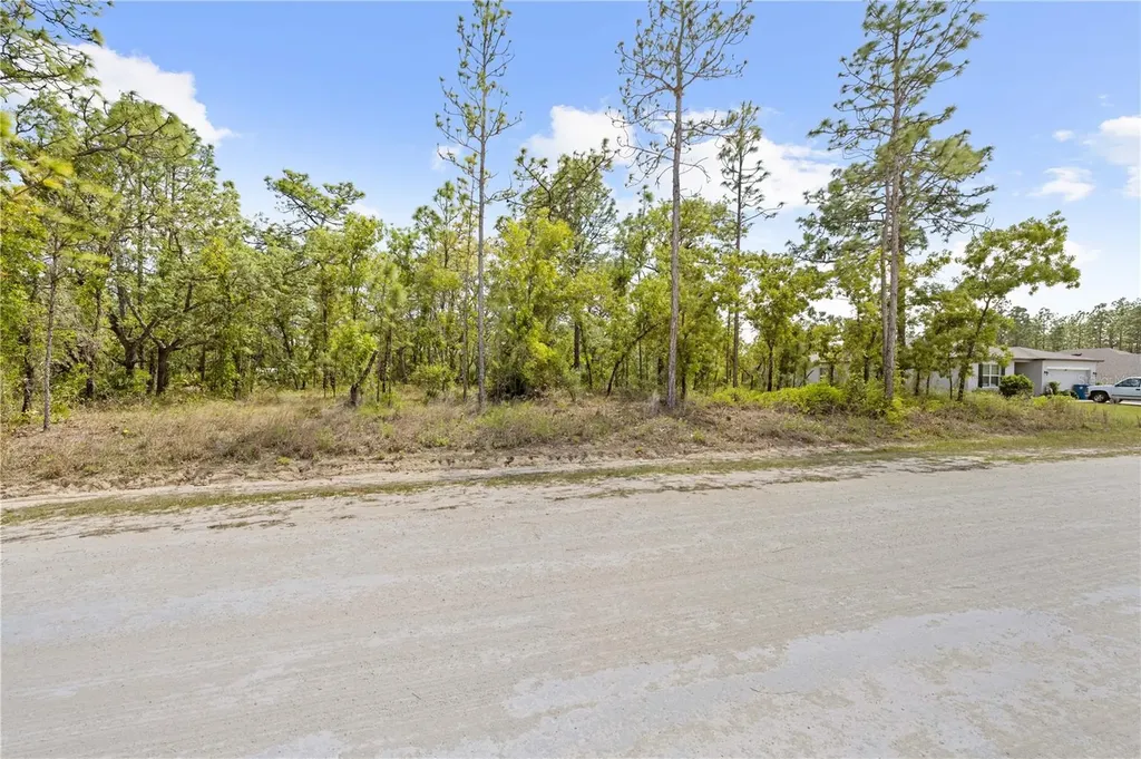 0 Sandpiper Avenue Weeki Wachee FL 34614