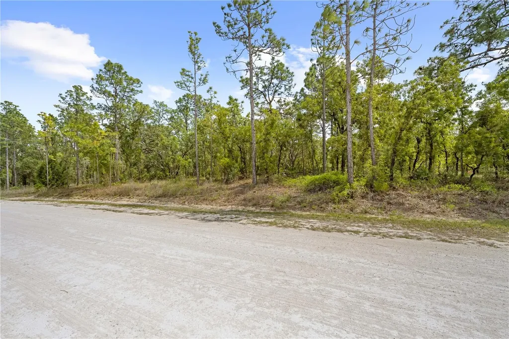 0 Sandpiper Avenue Weeki Wachee FL 34614