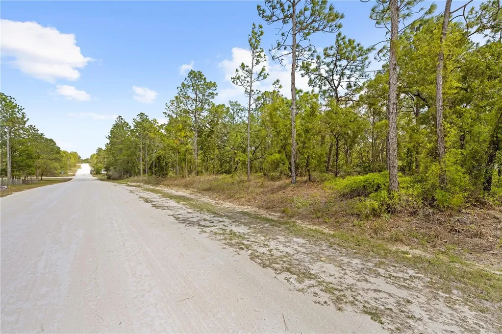 0 Sandpiper Avenue Weeki Wachee FL 34614