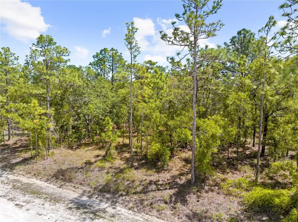 0 Sandpiper Avenue Weeki Wachee FL 34614