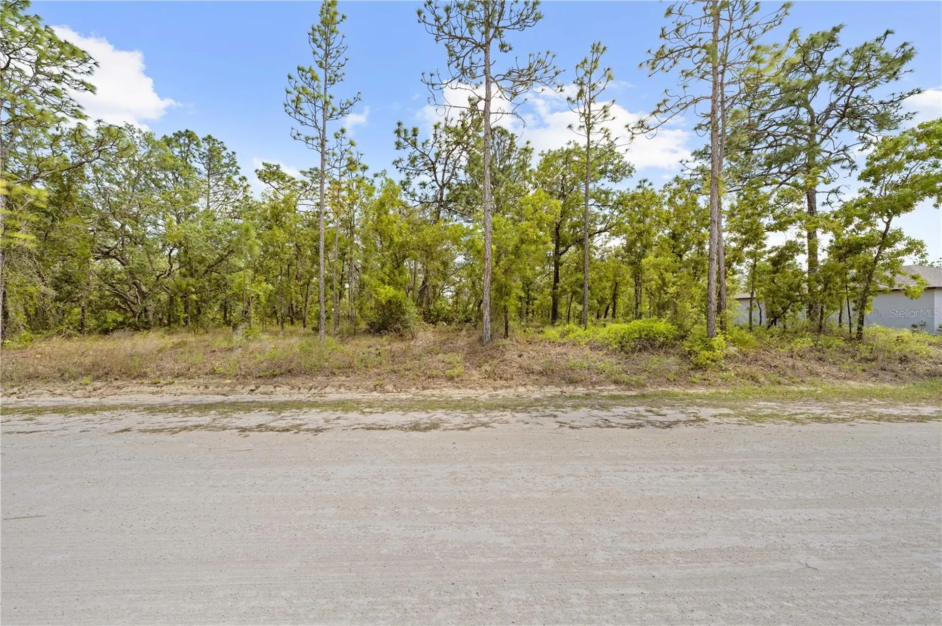 0 Sandpiper Avenue Weeki Wachee FL 34614