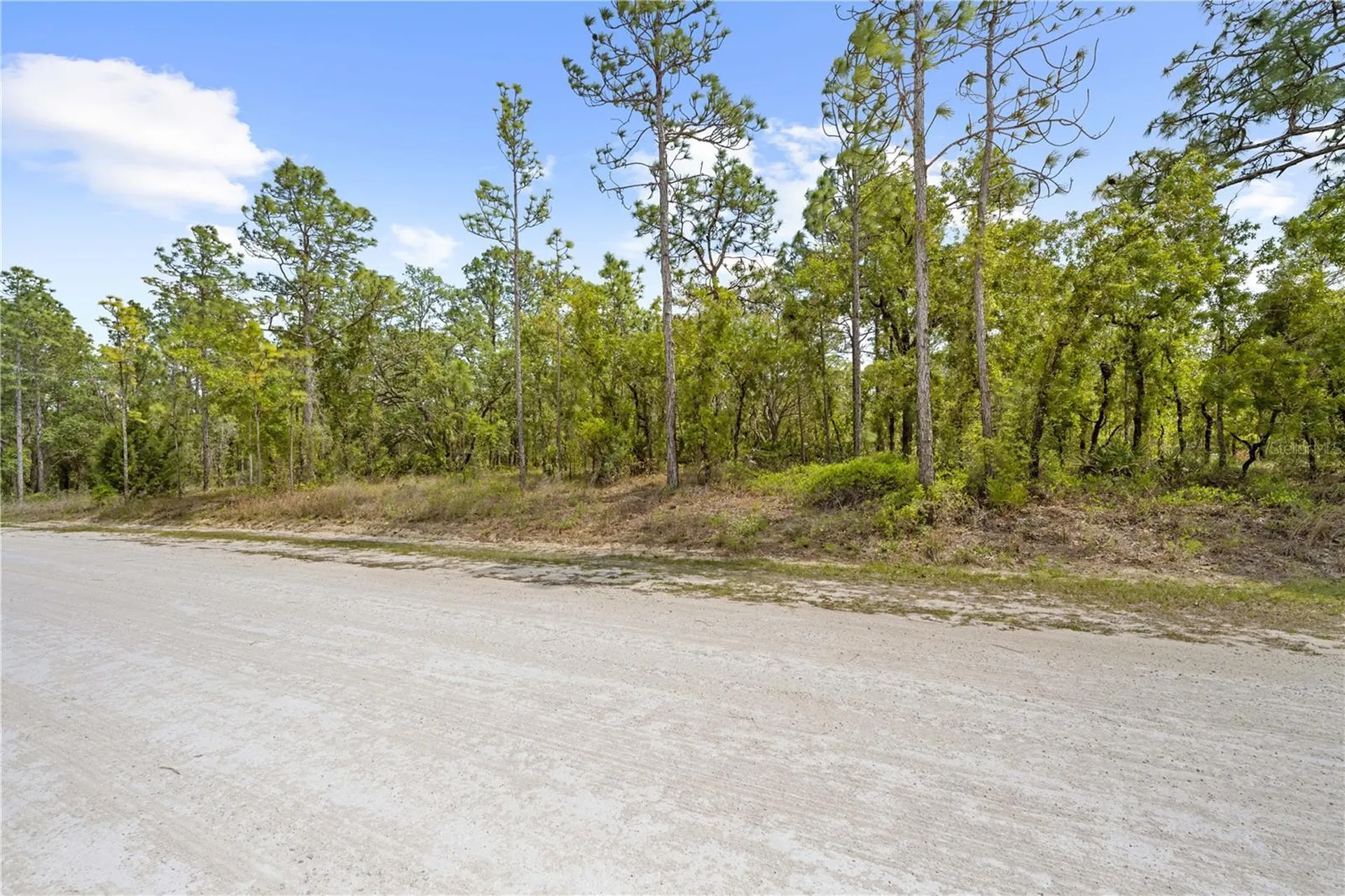 0 Sandpiper Avenue Weeki Wachee FL 34614