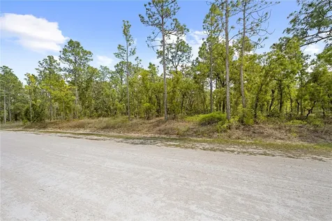 0 Sandpiper Avenue Weeki Wachee FL 34614