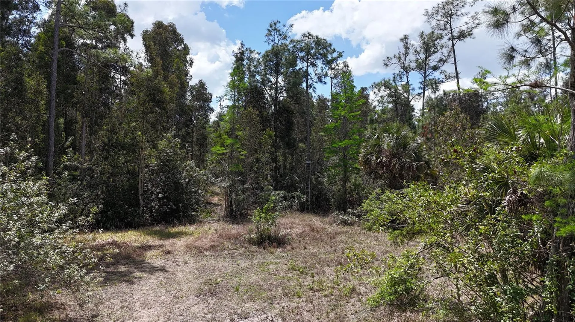 16840 Jozach Drive Naples FL 34120