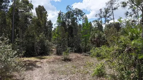 16840 Jozach Drive Naples FL 34120