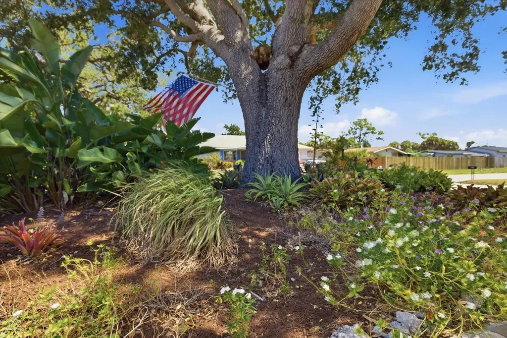 1212 Pineland Avenue Venice FL 34285
