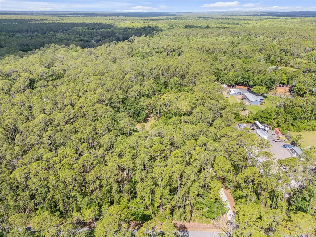 2380 Guava Drive Port Orange FL 32128