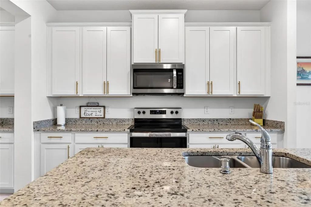 16946 Oval Rum Drive Wimauma FL 33598