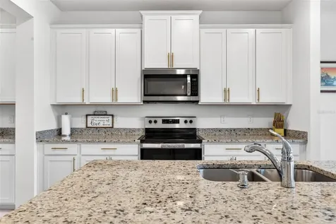 16946 Oval Rum Drive Wimauma FL 33598
