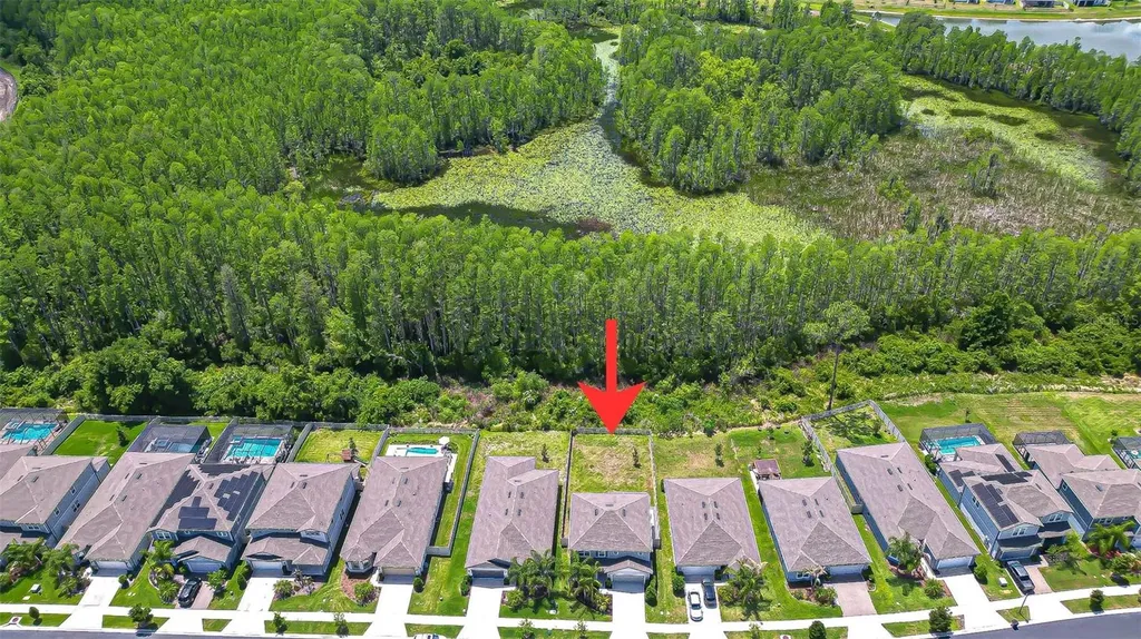 20978 Monza Loop Land O Lakes FL 34638