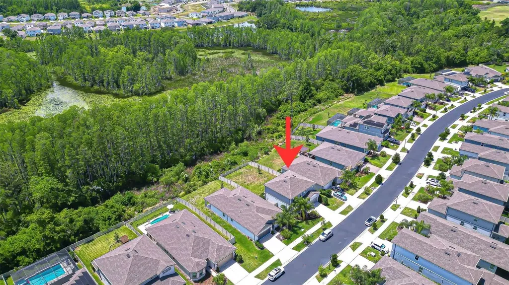 20978 Monza Loop Land O Lakes FL 34638