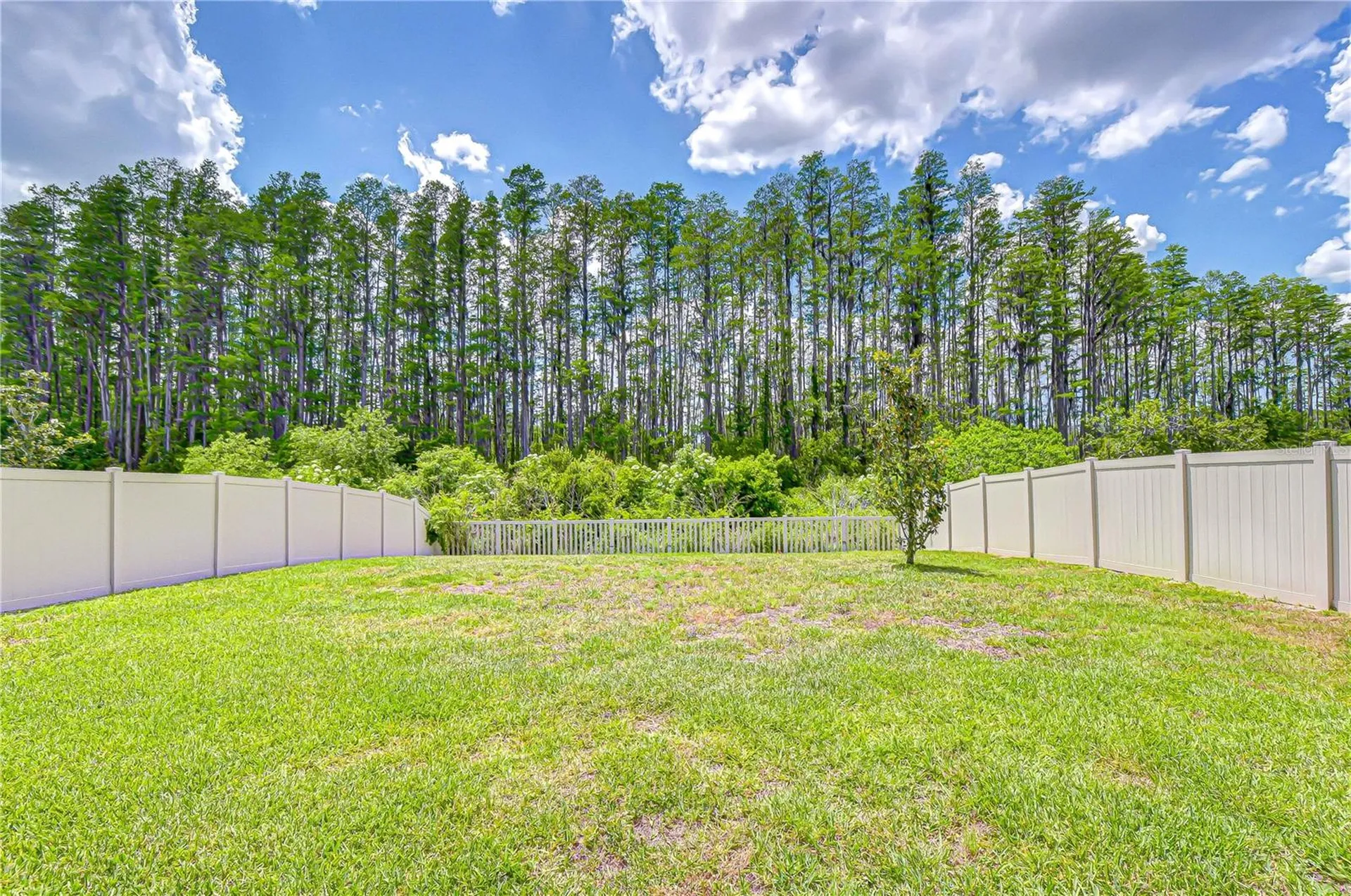 20978 Monza Loop Land O Lakes FL 34638