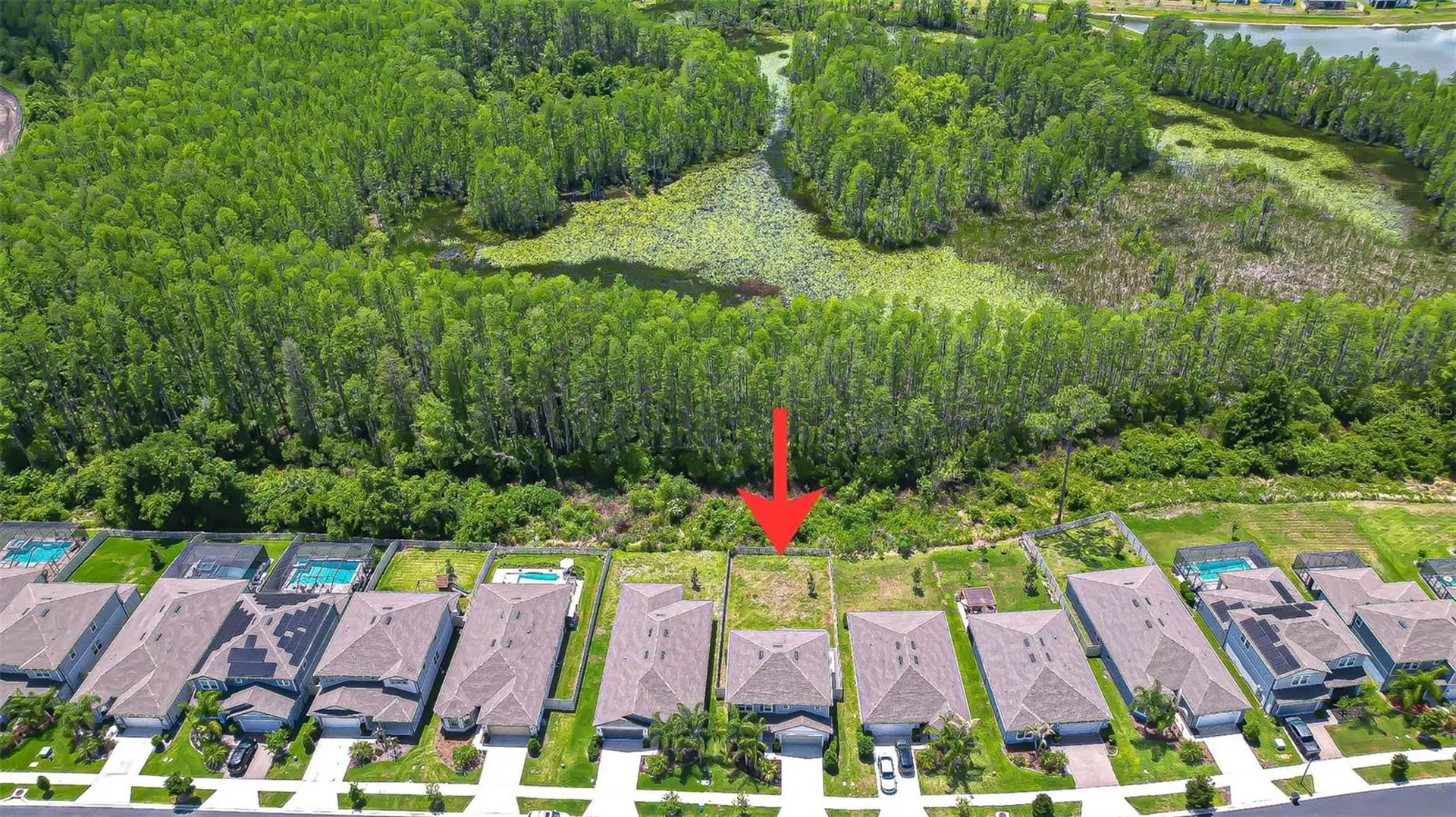 20978 Monza Loop Land O Lakes FL 34638
