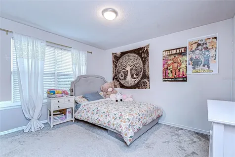 20978 Monza Loop Land O Lakes FL 34638