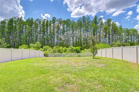 20978 Monza Loop Land O Lakes FL 34638