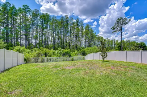 20978 Monza Loop Land O Lakes FL 34638
