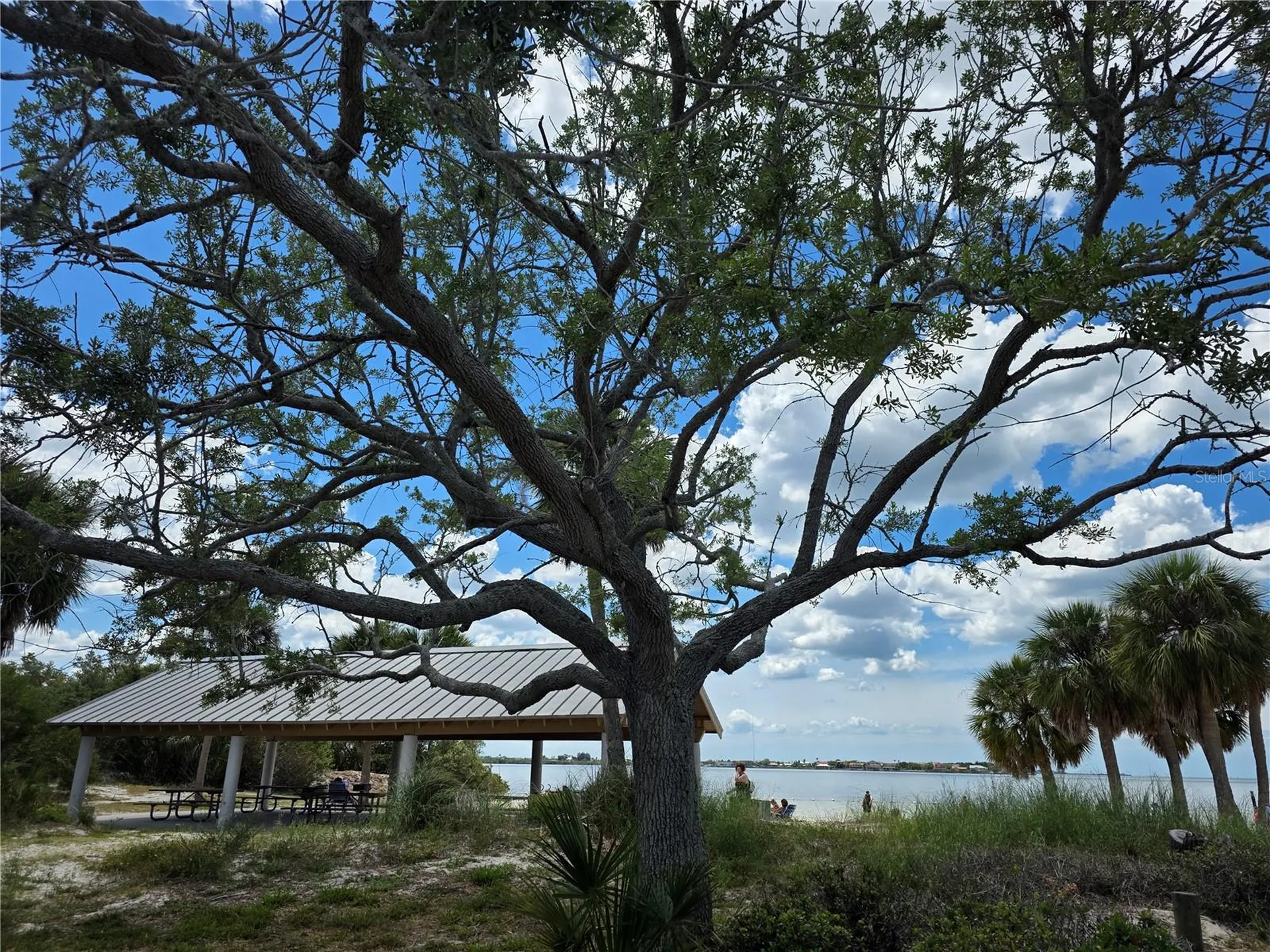 4366 Summersun Drive New Port Richey FL 34652