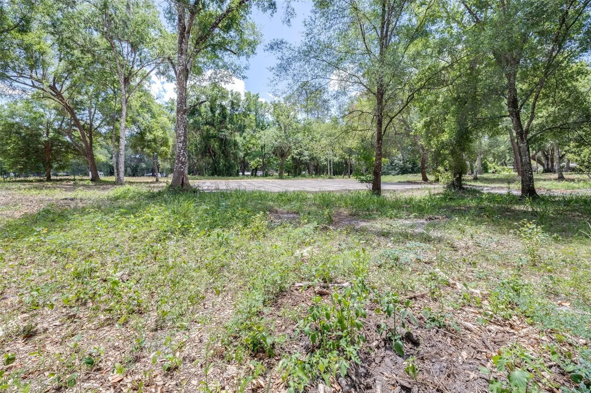 SE 124th Avenue Webster FL 33597