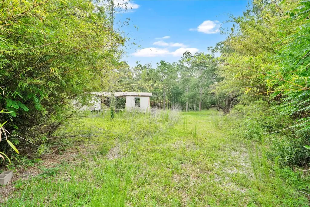 7831 NE 132nd Place Citra FL 32113