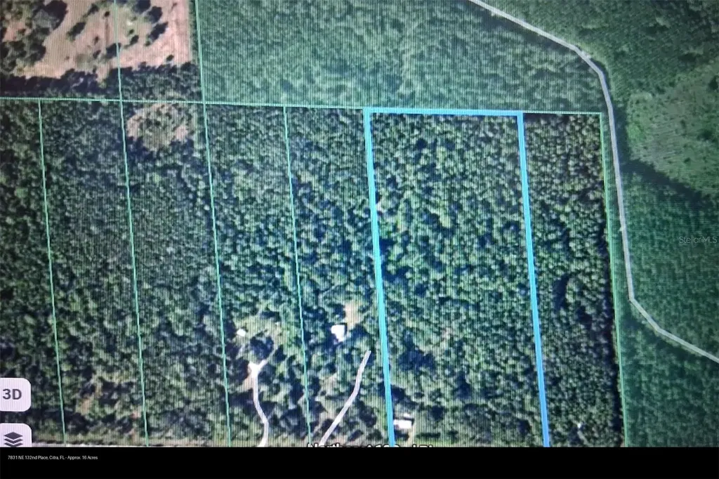 7831 NE 132nd Place Citra FL 32113