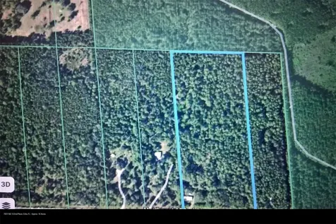 7831 NE 132nd Place Citra FL 32113