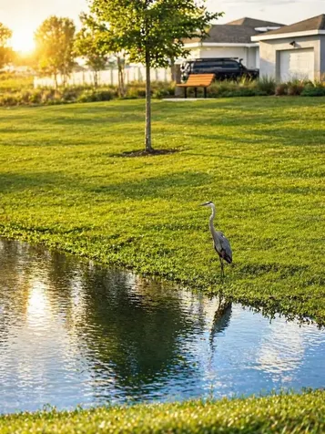 2604 Summer Clouds Way Kissimmee FL 34744