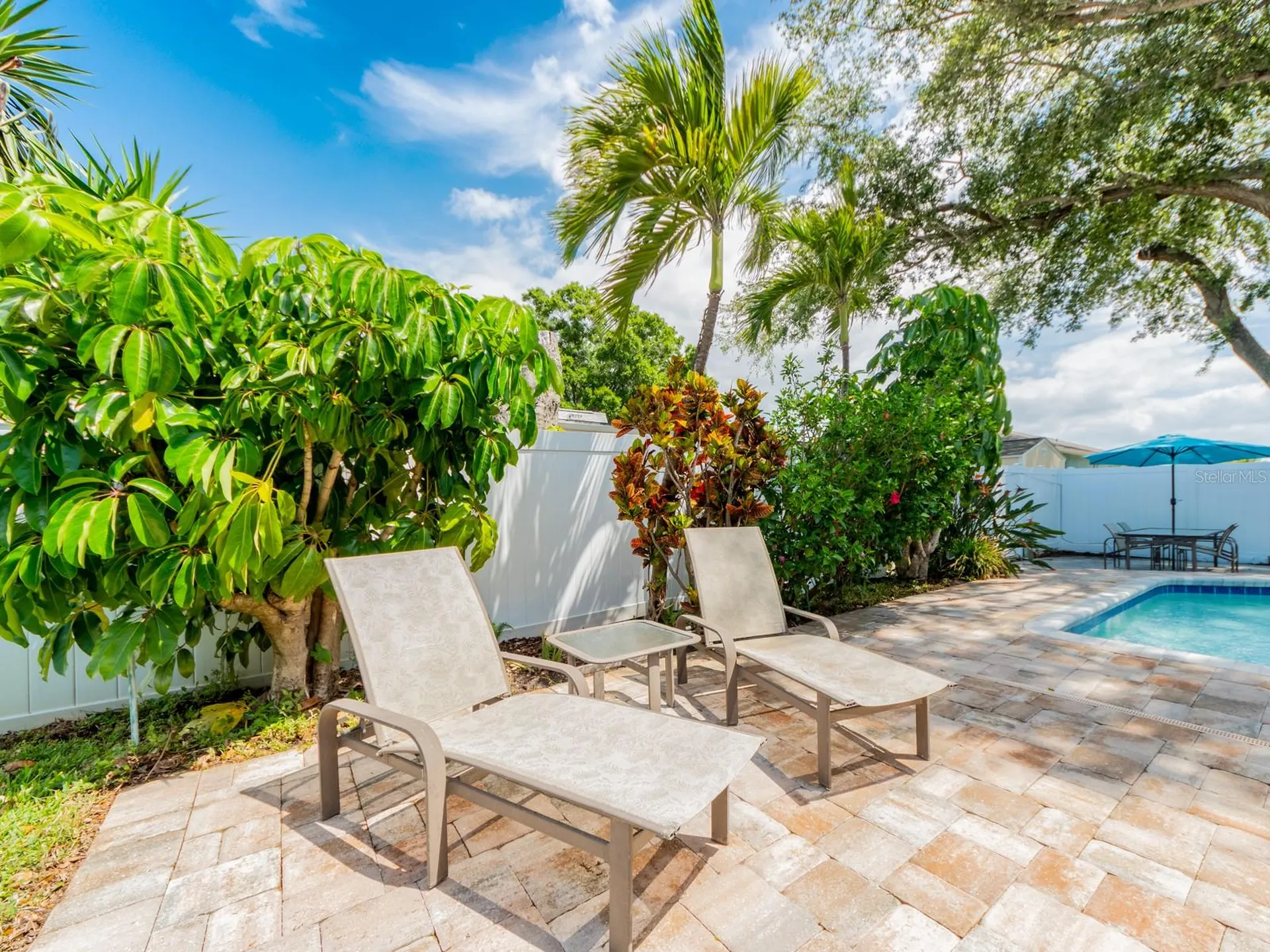 1678 Algonquin Drive Clearwater FL 33755