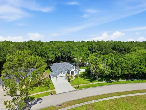 3205 Partridge Point Trail Valrico FL 33596